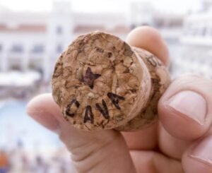 Todos los representantes de los viticultores se unen para denunciar precios “inadmisibles” por las uvas en la DO Cava