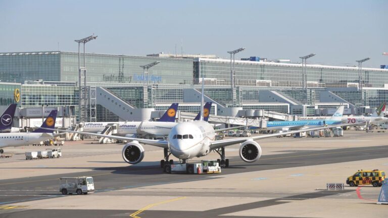Un brote de malaria en el aeropuerto de Frankfurt causa dos muertes y otras cuatro infecciones