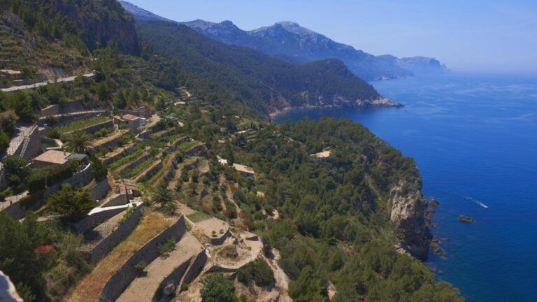 Baleares cierra la puerta a nuevos chalés en el campo que no tengan una explotación agraria