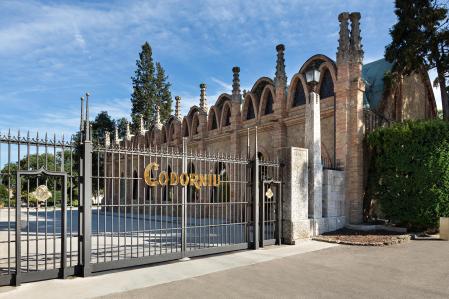 Codorníu, en pleno proceso de venta, alcanza unos nuevos resultados récord