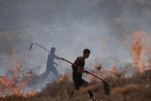 Colonos israelíes golpean a un fotógrafo de AFP ante la mirada pasiva de soldados israelíes